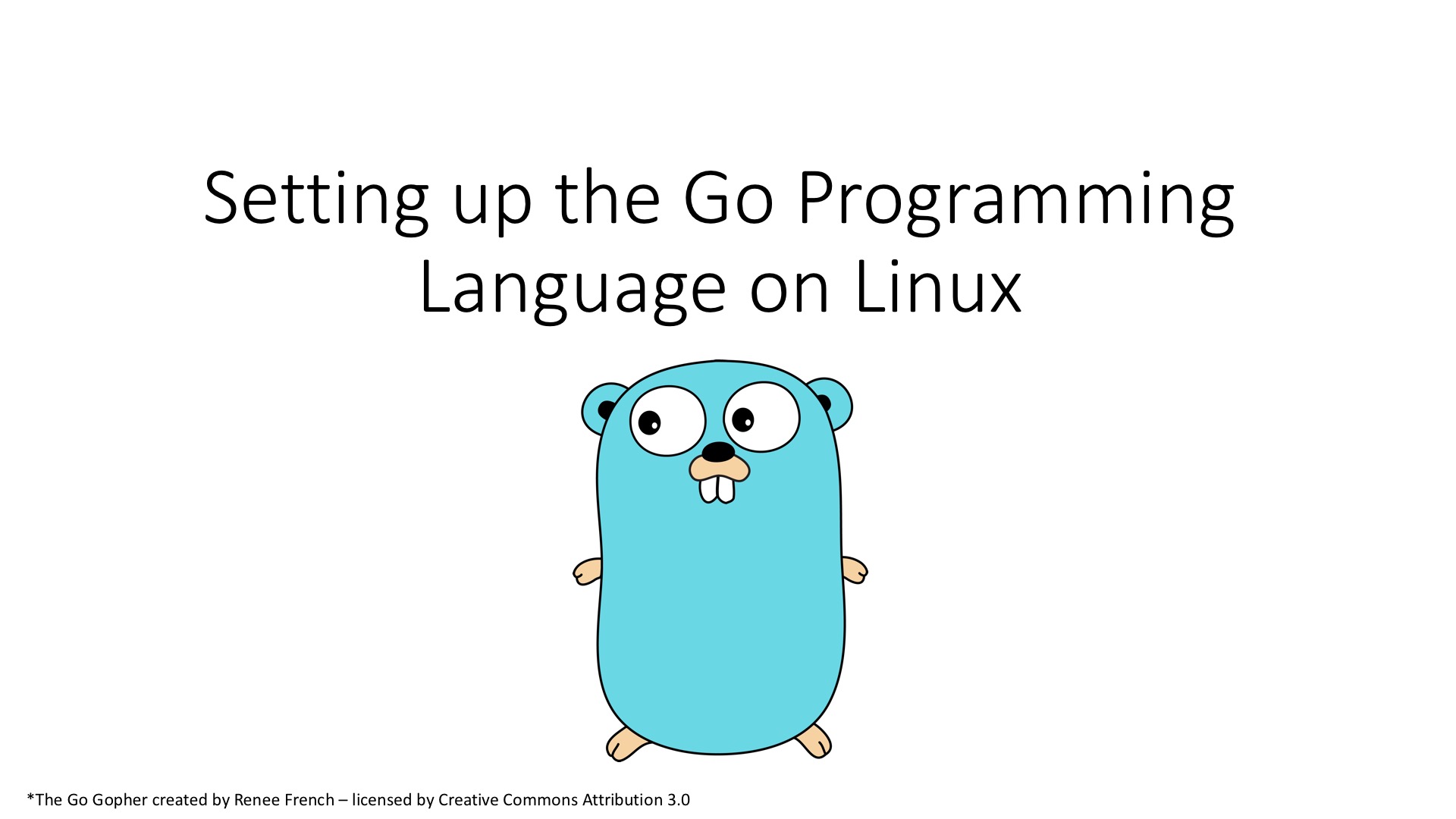 Go Install Linux